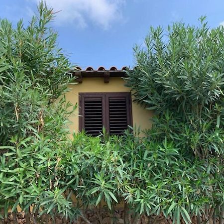 Villa Maveda, Un Dammuso Immerso Nel Verde Lampedusa Eksteriør bilde