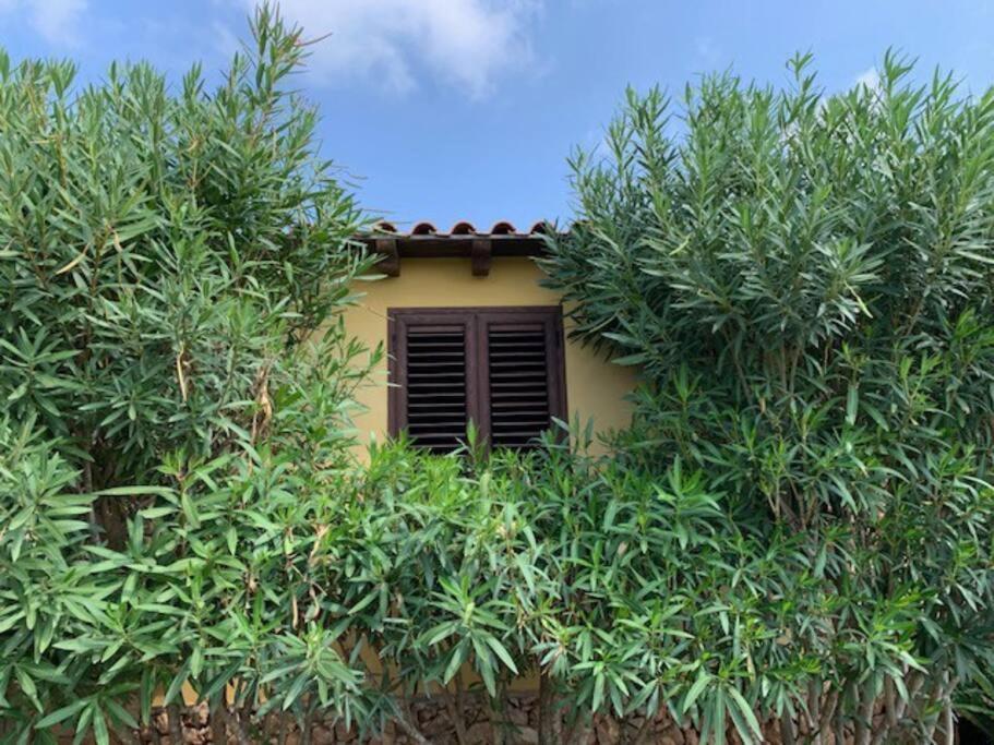 Villa Maveda, Un Dammuso Immerso Nel Verde Lampedusa Eksteriør bilde