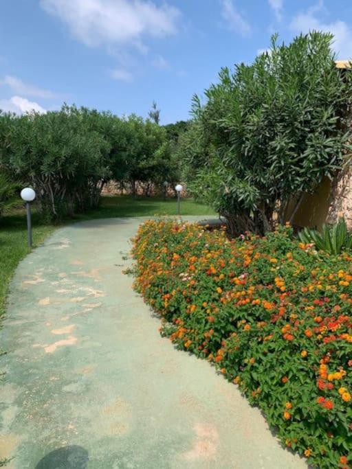 Villa Maveda, Un Dammuso Immerso Nel Verde Lampedusa Eksteriør bilde